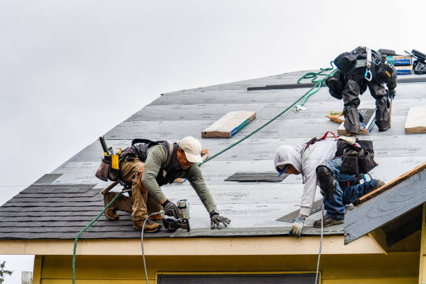 Professional Gutter Installation technician working in Conesus, NY